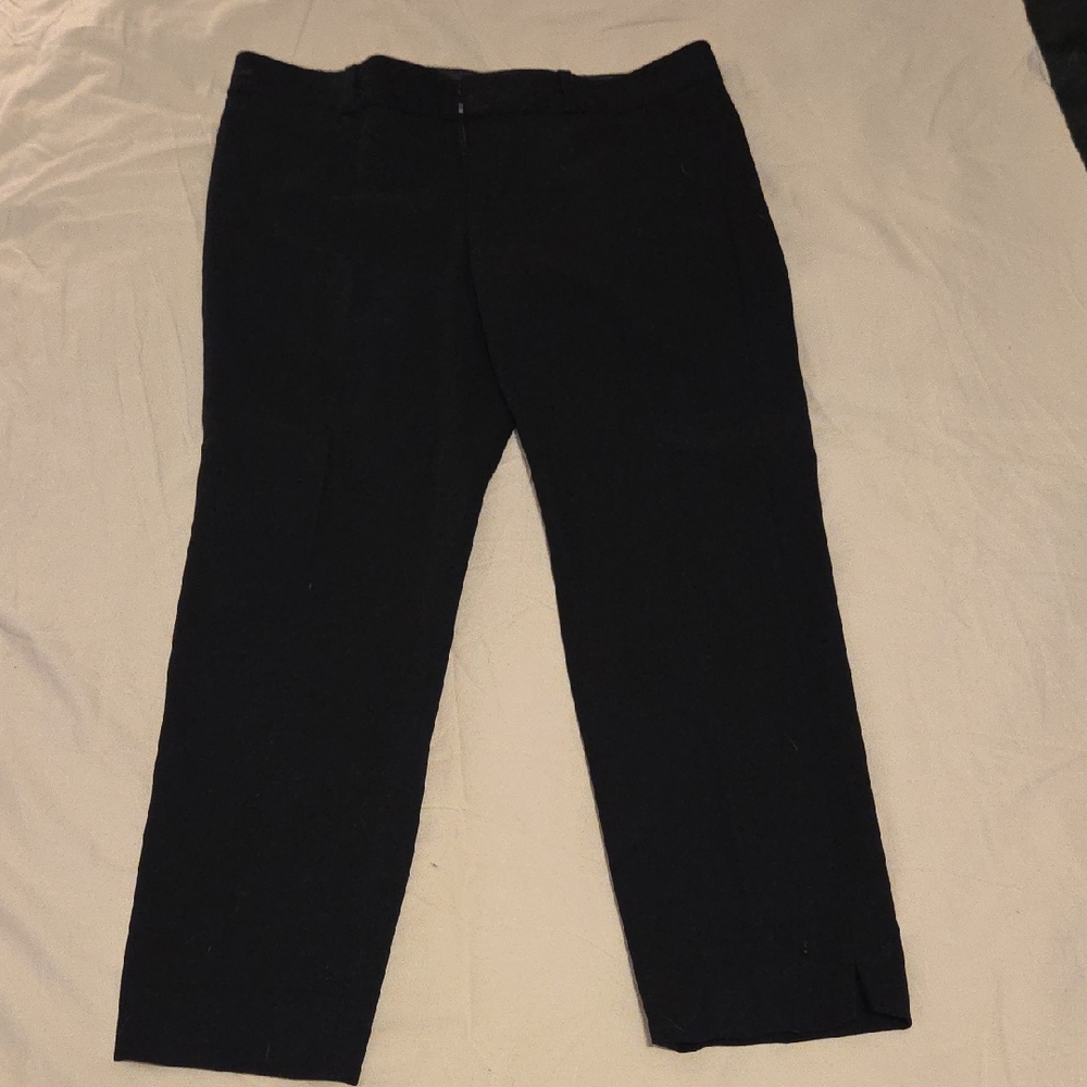 Women's Banana Republic Sloan Pants